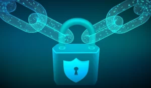 What is blockchain security?