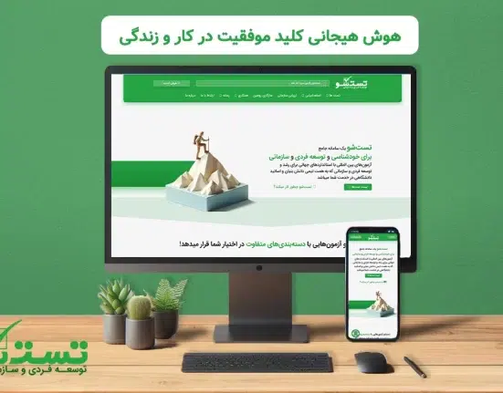 تست هوش هیجانی تست شو