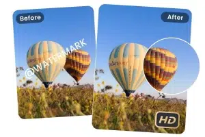 حذف واترمارک از فیلم آنلاین