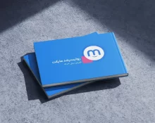 گزارش عملکرد مایکت در سال ۱۴۰۳